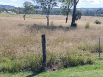 Boonah - 30 April 2023