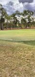 Laidley - 10 May 2026