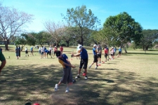dcp_3567-comp